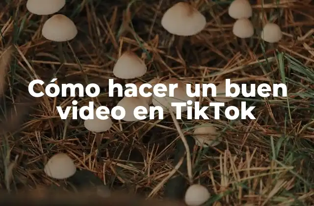 Cómo Hacer un Buen Video en Tiktok