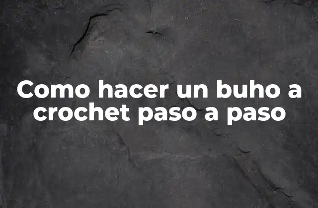 Como Hacer un Buho a Crochet Paso a Paso