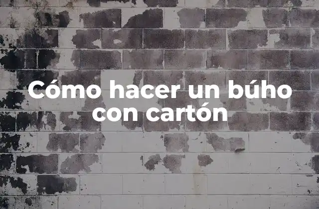 Cómo Hacer un Búho con Cartón