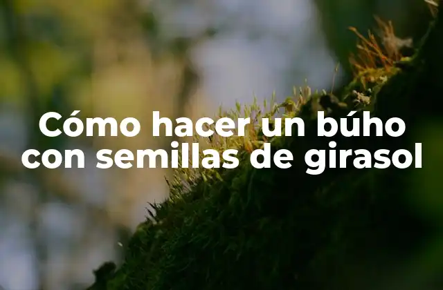 Cómo Hacer un Búho con Semillas de Girasol