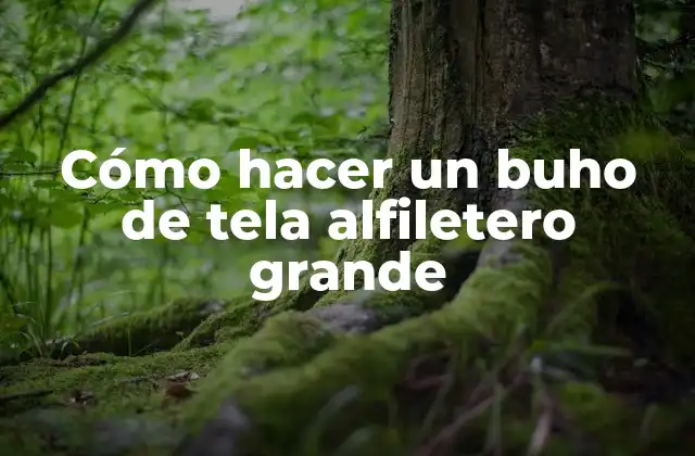 Cómo Hacer un Buho de Tela Alfiletero Grande