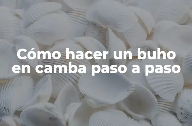 Cómo Hacer un Buho en Camba Paso a Paso