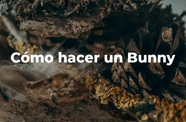 Cómo Hacer un Bunny