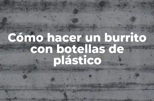 Cómo Hacer un Burrito con Botellas de Plástico