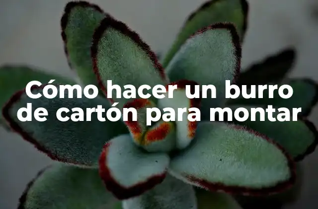 ¿Qué es un burro de cartón para montar?