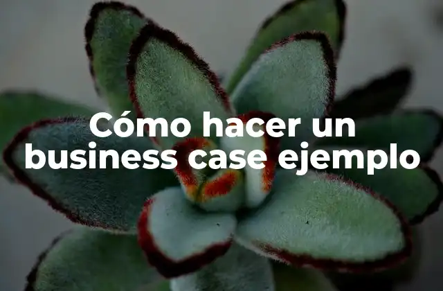 Cómo Hacer un Business Case Ejemplo