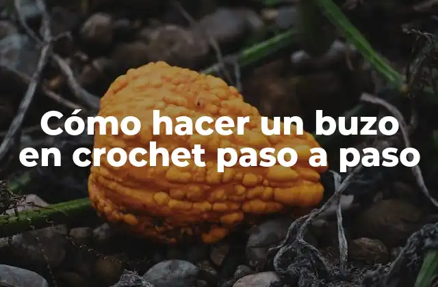 Cómo Hacer un Buzo en Crochet Paso a Paso