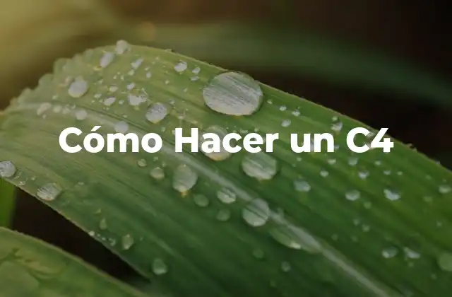 Cómo Hacer un C4