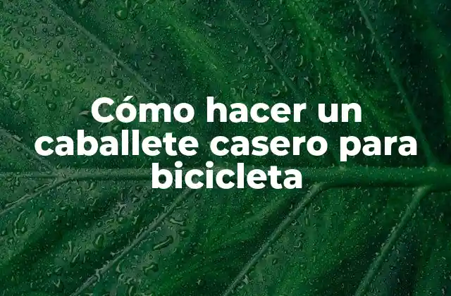 Cómo Hacer un Caballete Casero para Bicicleta