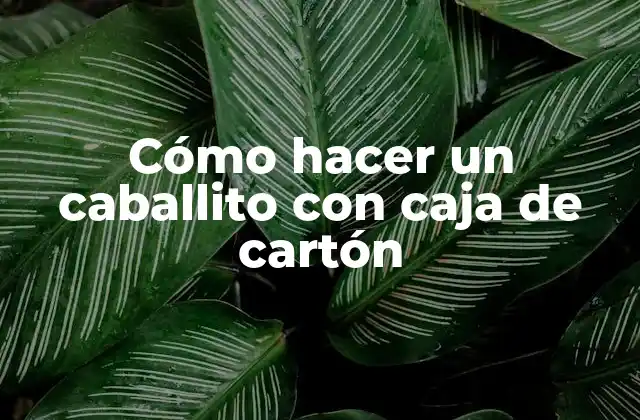 Cómo Hacer un Caballito con Caja de Cartón