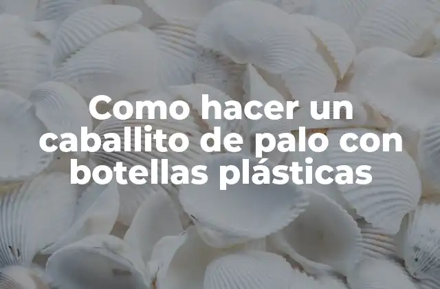 Como Hacer un Caballito de Palo con Botellas Plásticas