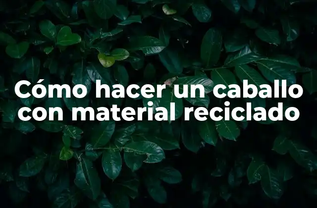 Cómo Hacer un Caballo con Material Reciclado