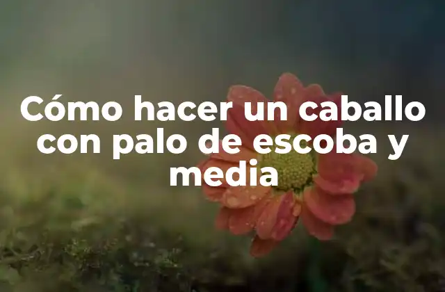 Cómo Hacer un Caballo con Palo de Escoba y Media