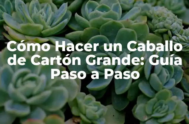 Cómo Hacer un Caballo de Cartón Grande: Guía Paso a Paso