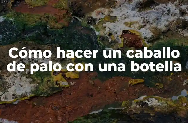 Cómo Hacer un Caballo de Palo con una Botella