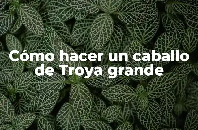 Cómo Hacer un Caballo de Troya Grande