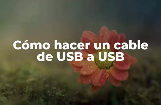 ¿Qué es un cable de USB a USB?