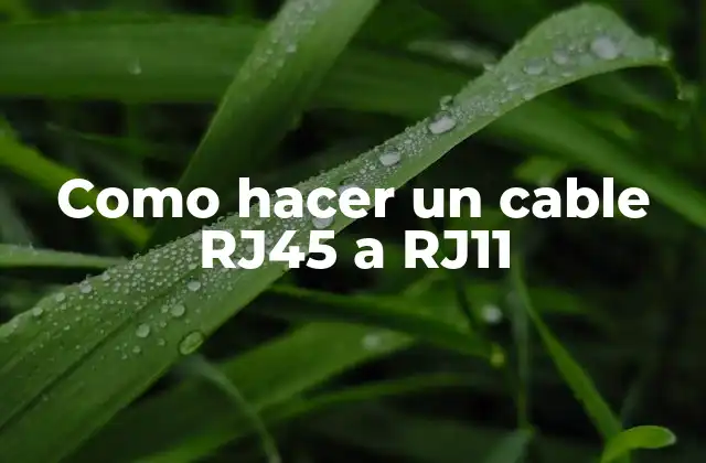 Como Hacer un Cable Rj45 a Rj11