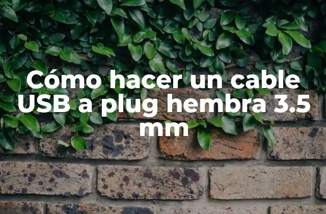 Cómo Hacer un Cable Usb a Plug Hembra 3.5 Mm
