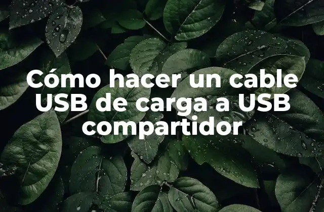 Cómo Hacer un Cable Usb de Carga a Usb Compartidor