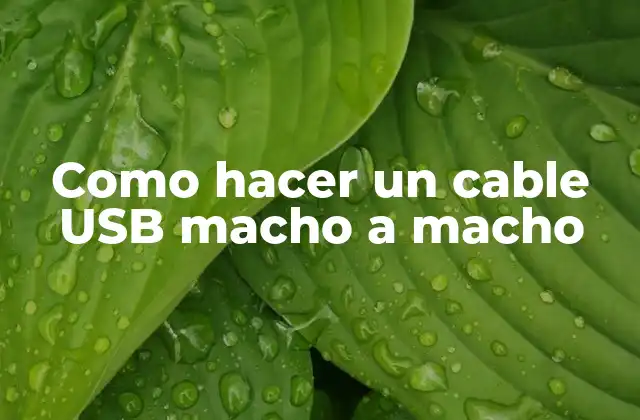 Como Hacer un Cable Usb Macho a Macho