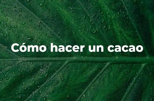 Cómo Hacer un Cacao 2 ¿Qué es un cacao y para qué sirve?