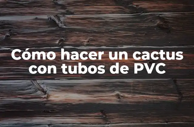 Cómo Hacer un Cactus con Tubos de Pvc
