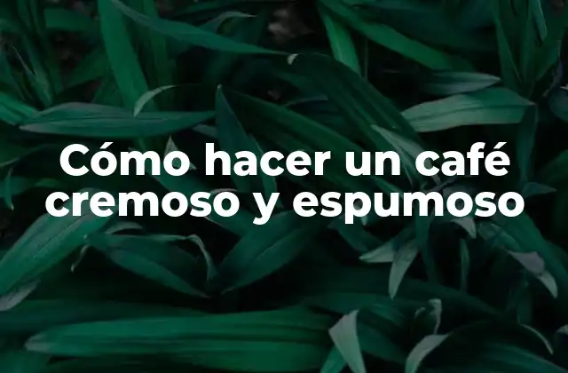Cómo Hacer un Café Cremoso y Espumoso