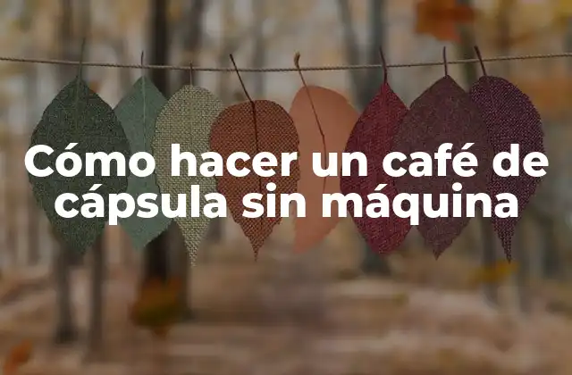 Cómo Hacer un Café de Cápsula sin Máquina