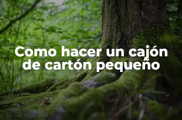 Como Hacer un Cajón de Cartón Pequeño