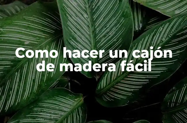 Como Hacer un Cajón de Madera Fácil