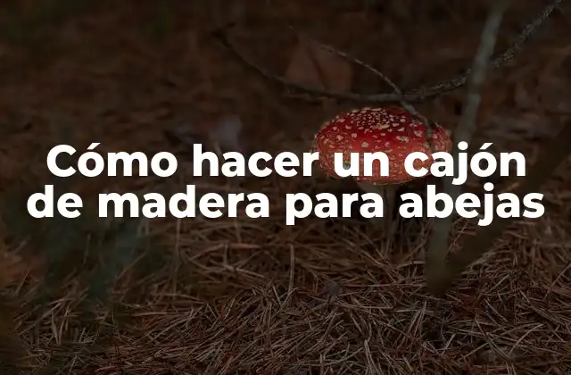 Cómo Hacer un Cajón de Madera para Abejas