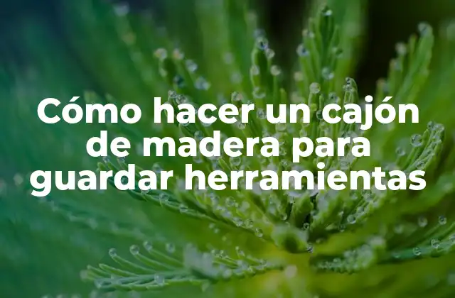 Cómo Hacer un Cajón de Madera para Guardar Herramientas