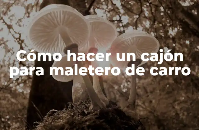 Cómo Hacer un Cajón para Maletero de Carro