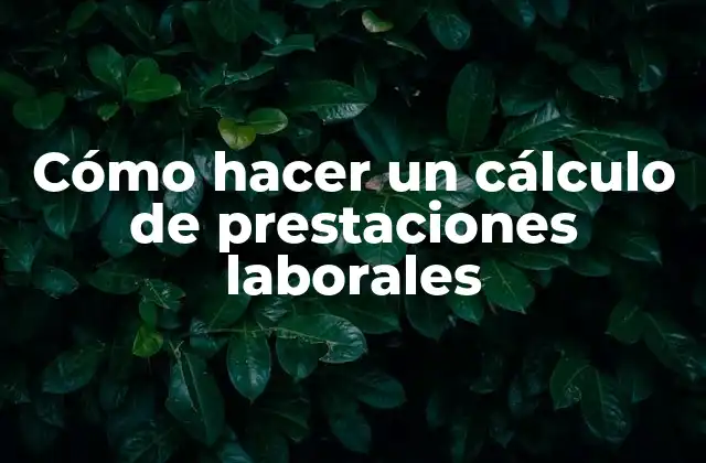 Cómo Hacer un Cálculo de Prestaciones Laborales