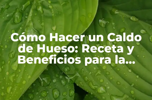 Cómo Hacer un Caldo de Hueso: Receta y Beneficios para la Salud
