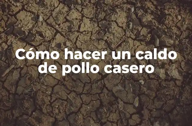 Cómo Hacer un Caldo de Pollo Casero