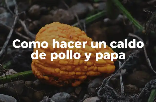 Como Hacer un Caldo de Pollo y Papa