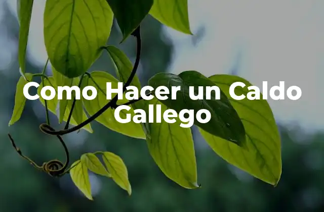 Como Hacer un Caldo Gallego