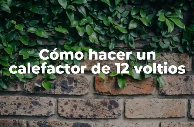 Cómo Hacer un Calefactor de 12 Voltios 2 ¿Qué es un calefactor de 12 voltios?
