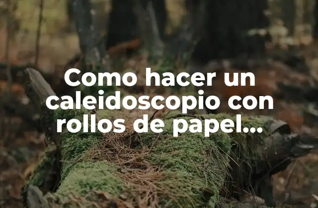 Como Hacer un Caleidoscopio con Rollos de Papel Higiénico