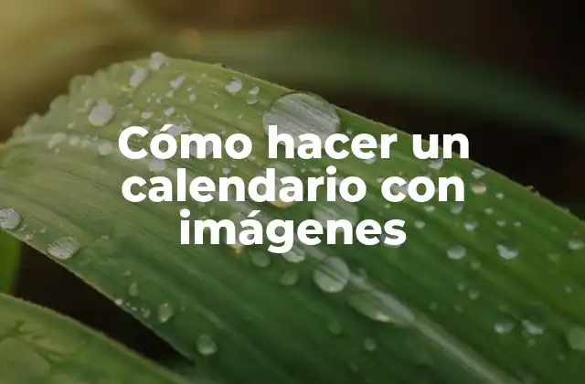 Cómo Hacer un Calendario con Imágenes