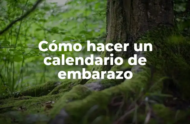 Cómo Hacer un Calendario de Embarazo