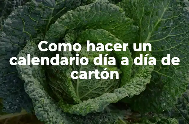 Como Hacer un Calendario Día a Día de Cartón