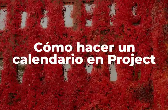 Cómo Hacer un Calendario en Project