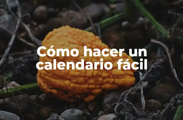 ¿Qué es un calendario y para qué sirve?