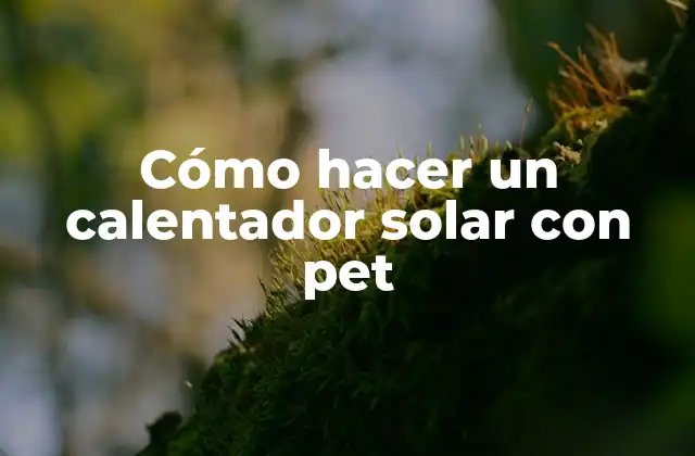 Cómo Hacer un Calentador Solar con Pet