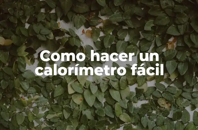 Como Hacer un Calorímetro Fácil