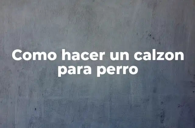 ¿Qué es un calzon para perro y para qué sirve?