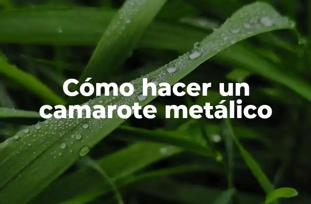 Cómo Hacer un Camarote Metálico